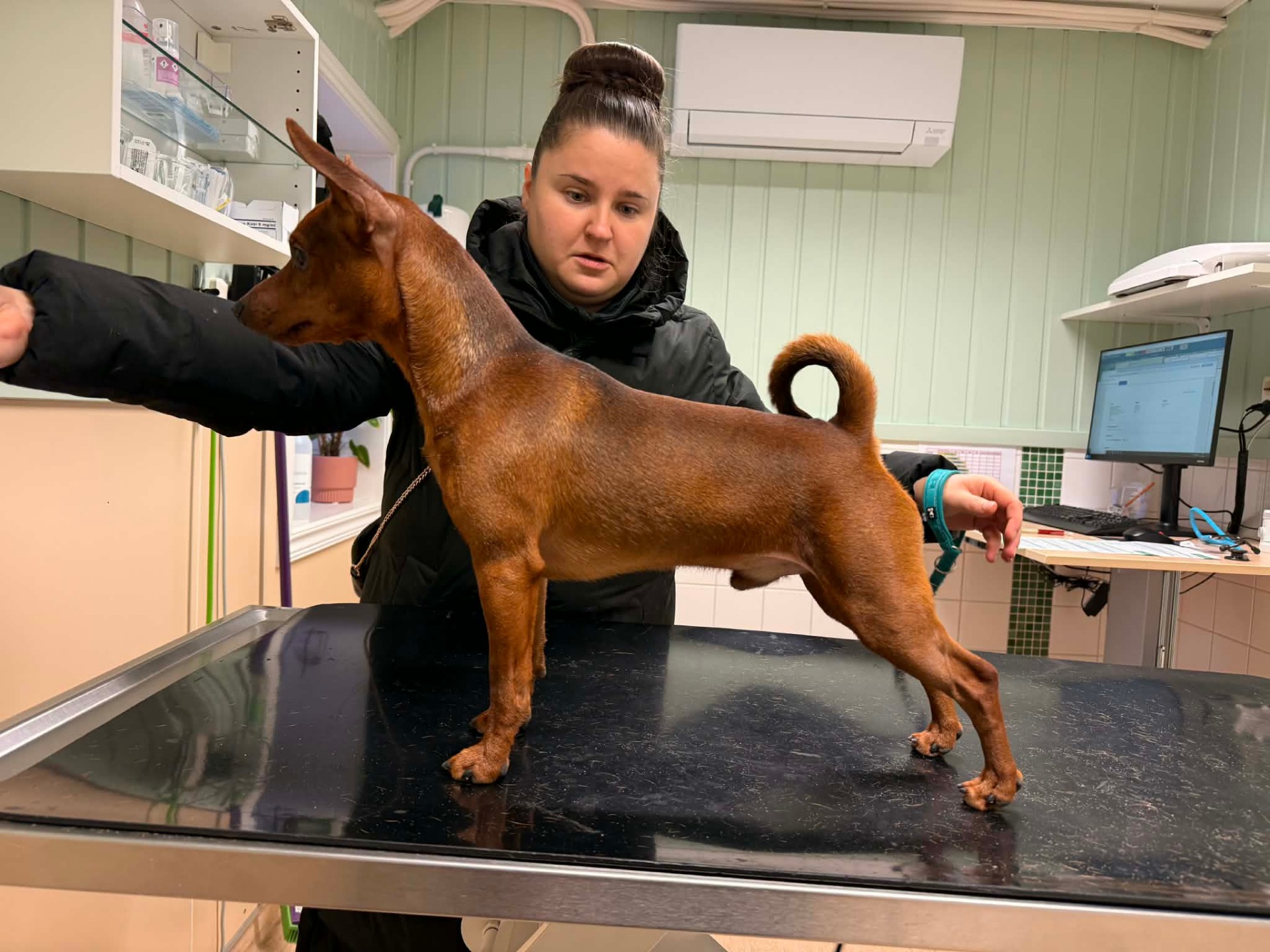 Heziblos Lord Quince