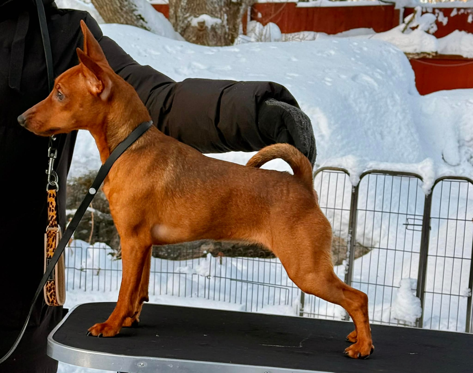 Katare`s Mystery Exclusive for you