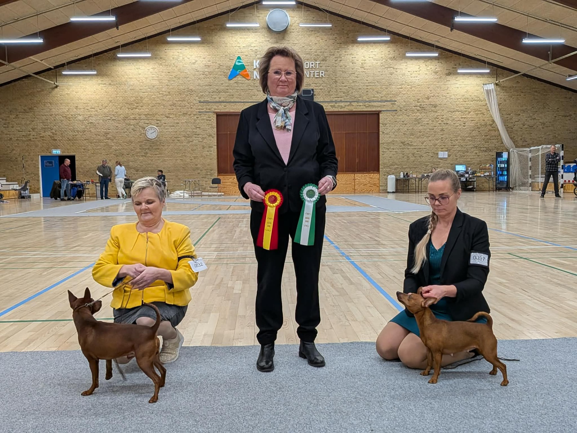 Ny Dansk Champion Katare`s Mystery Vanilla Fudge 