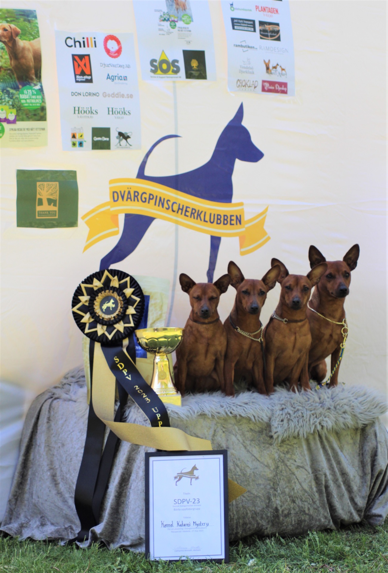 SDPV 23 -SDPV 24 -SDPV25 -Uppfödare